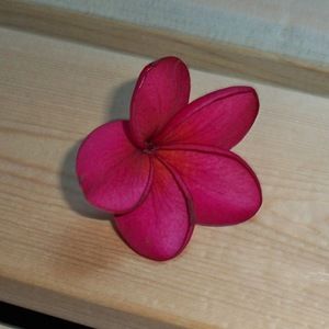 Meet your Posher, Cassandra